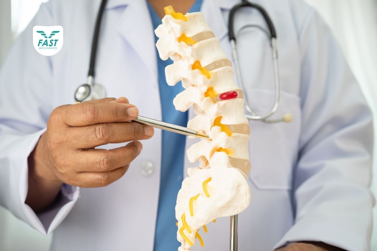 Médico analisando objeto 3D de coluna vertebral