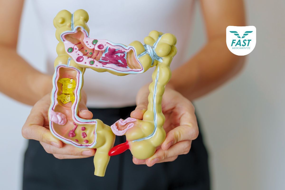 Mulher segurando modelo de anatomia de cólon humano